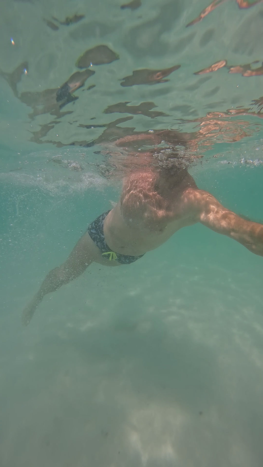 Shark Bait Trunks